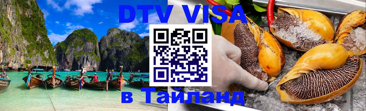 Купить DTV визу в Таиланд Осло 